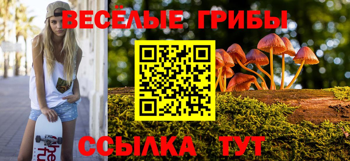 закладка  Вход с VPN  Феодосия  Псилоцибиновые грибы мухоморы 
